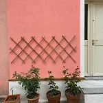 Casa Rosa 4* Taquisara