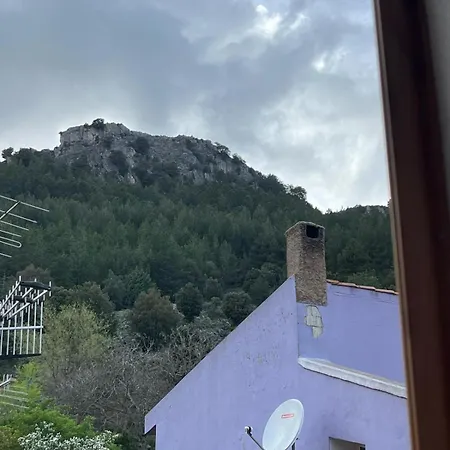 Casa Rosa 4*