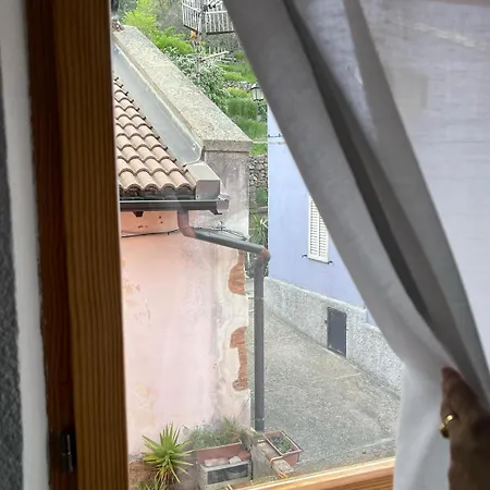 Casa Rosa 게스트하우스